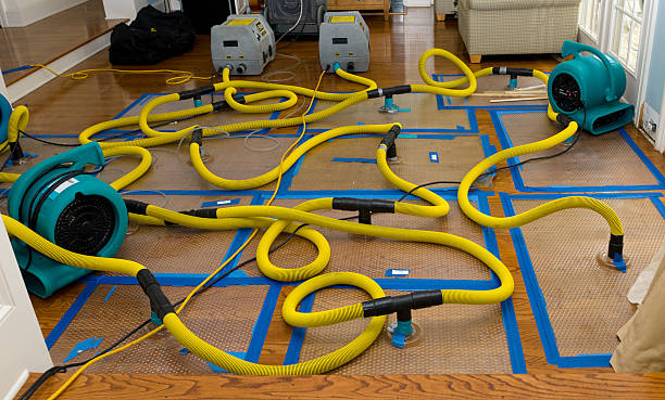 Professional Storm Water Damage Restoration technician working in Roebling, NJ