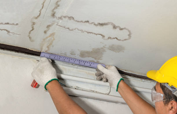Affordable Water Damage Repair solutions in Roebling, NJ